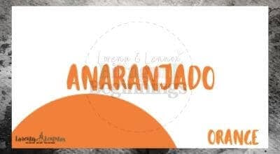 Halloween Printables in Spanish- Halloween Vocabulary Flashcards-orange