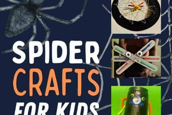 Spider Crafts for Kids