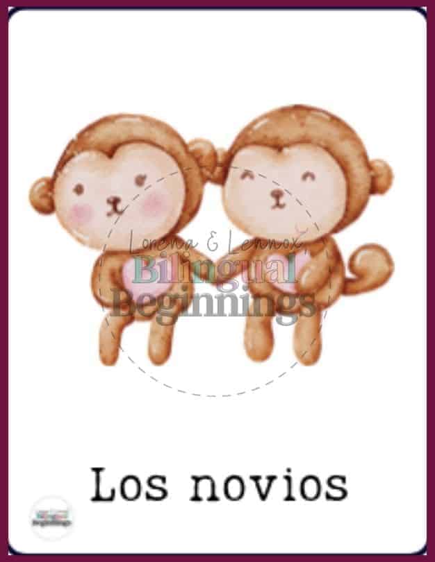 Valentine's Day Bingo in Spanish Flashcard - Los novas