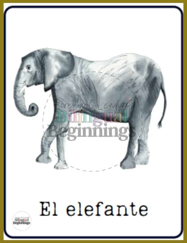 Zoo Animal Printables Worksheets in Spanish for Preschoolers