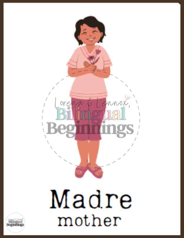 Family Words in Spanish Flashcards