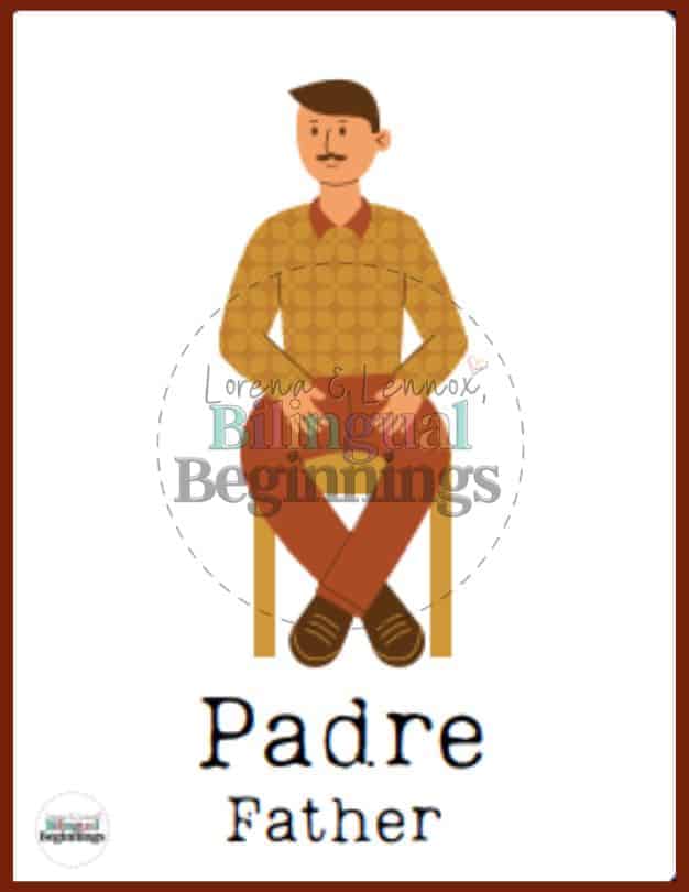 Family Words in Spanish Flashcards