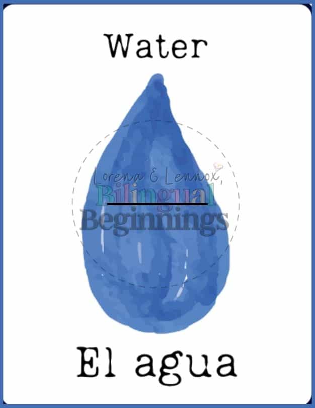 Bilingual Earth Day Flashcards in Spanish and English- water | el agua