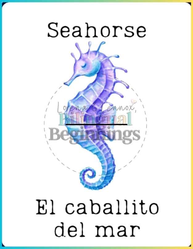 Printable Bilingual Ocean Flashcards in Spanish and English- Seahorse