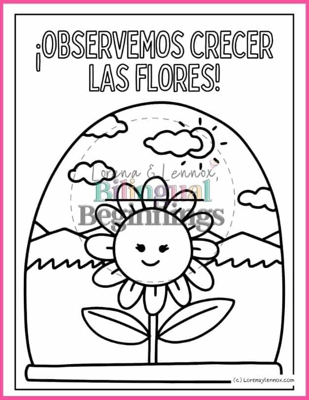 5 Summer Coloring Pages in Spanish