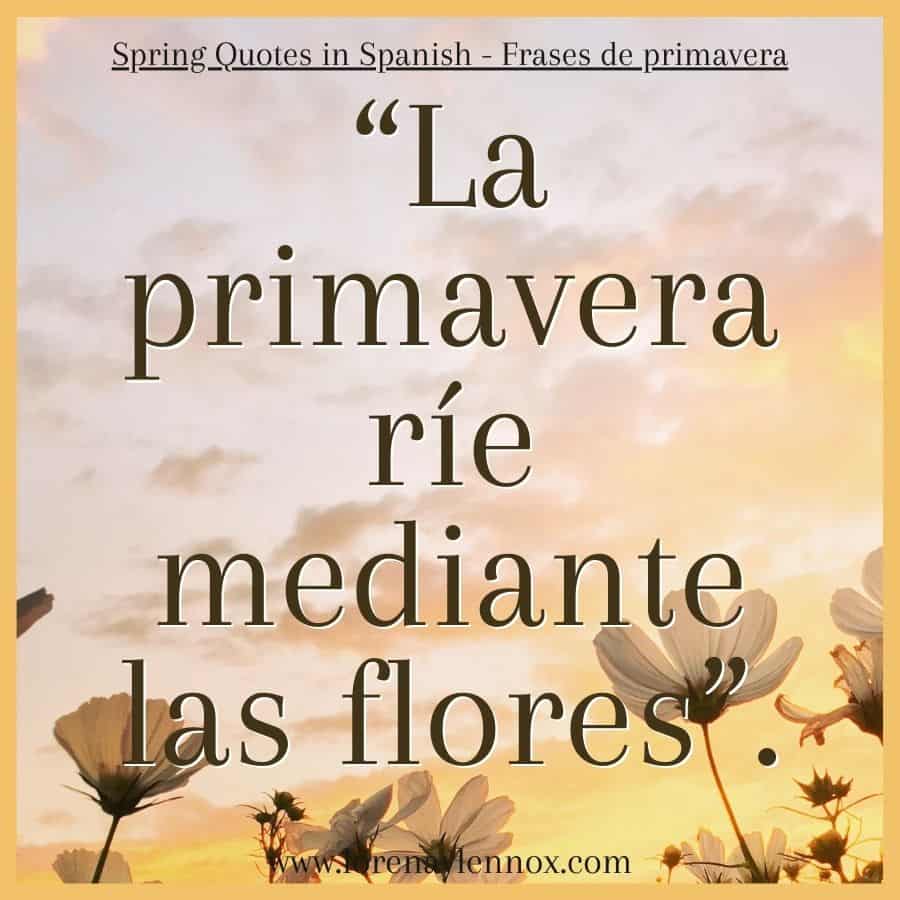Spring Quotes in Spanish | Frases sobre la primavera “La primavera ríe mediante las flores”. "Spring laughs through the flowers."