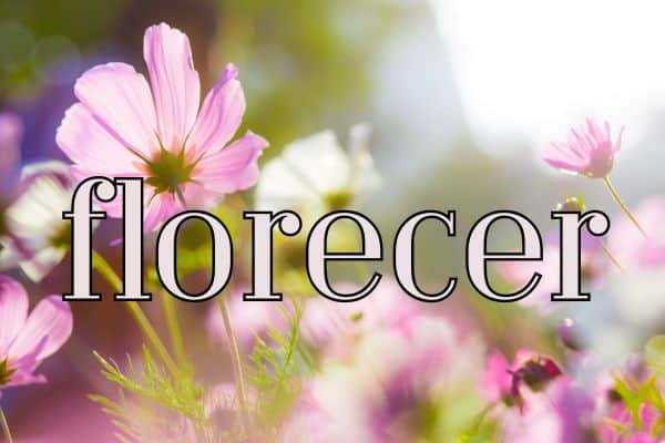 90+ Spring words in Spanish - florecer