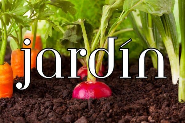 90+ Spring words in Spanish - jardín