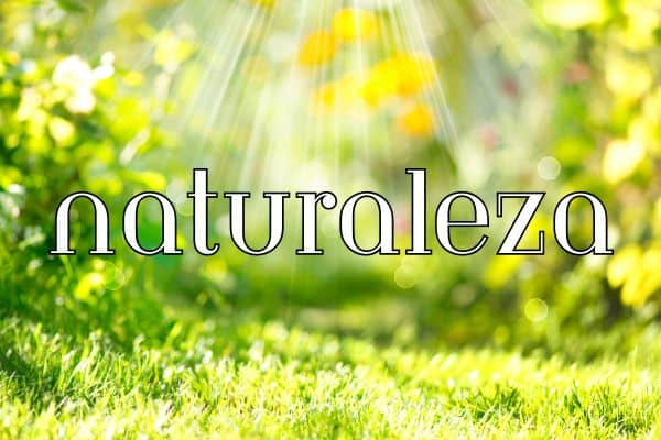 90+ Spring words in Spanish - naturaleza