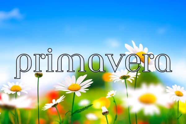 90+ Spring words in Spanish - primavera
